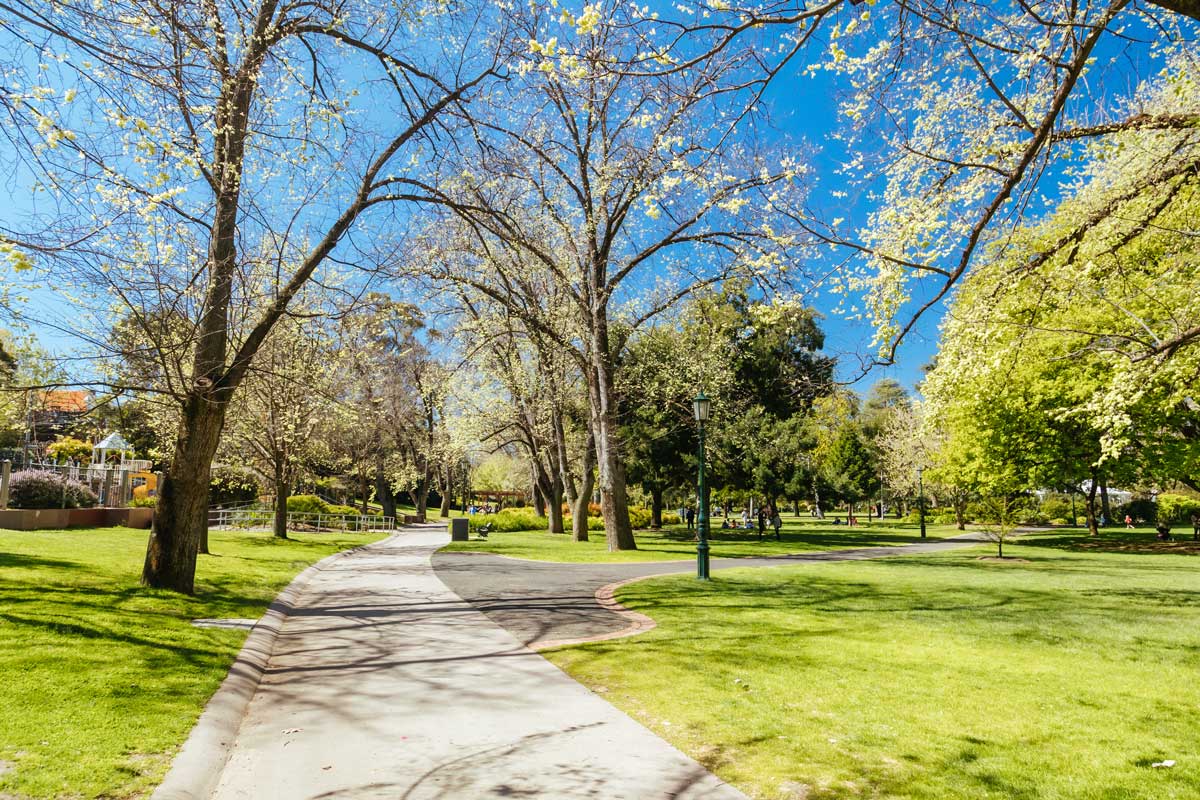 a path through a park with bright green grass and trees